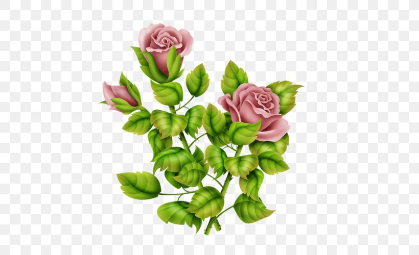 Garden Roses Cabbage Rose Floral Design Cut Flowers, PNG, 500x500px, Garden Roses, Artificial Flower, Bud, Cabbage Rose, Cut Flowers Download Free