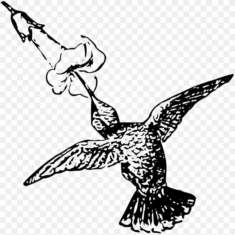 Hummingbird Clip Art, PNG, 2391x2400px, Bird, Art, Artwork, Beak, Bird Feeding Download Free