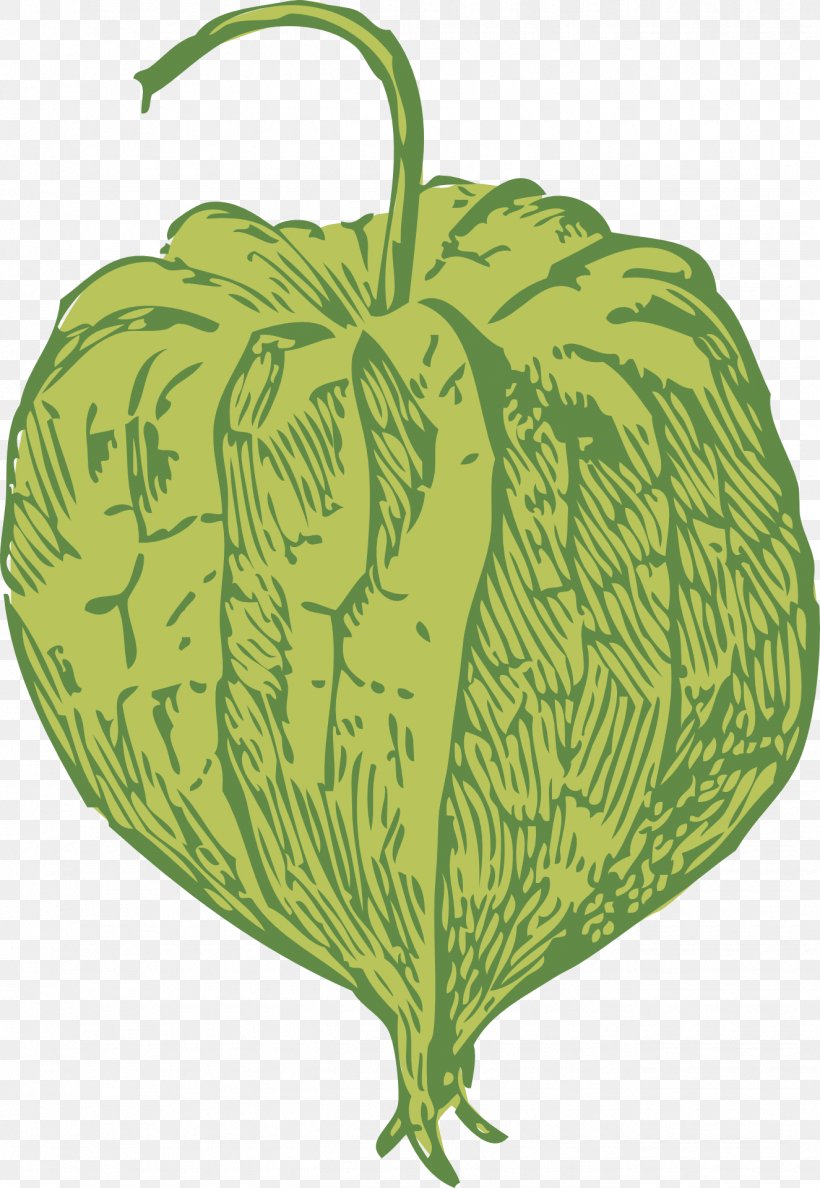 Drawing Clip Art, PNG, 1325x1920px, Drawing, Apple, Cartoon, Commodity, Cucumber Gourd And Melon Family Download Free
