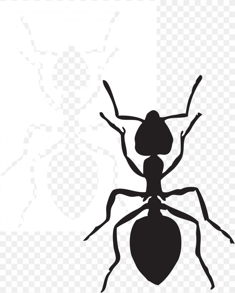 Ant Free Content Website Clip Art, PNG, 2000x2492px, Ant, Arthropod, Artwork, Black And White, Black Garden Ant Download Free