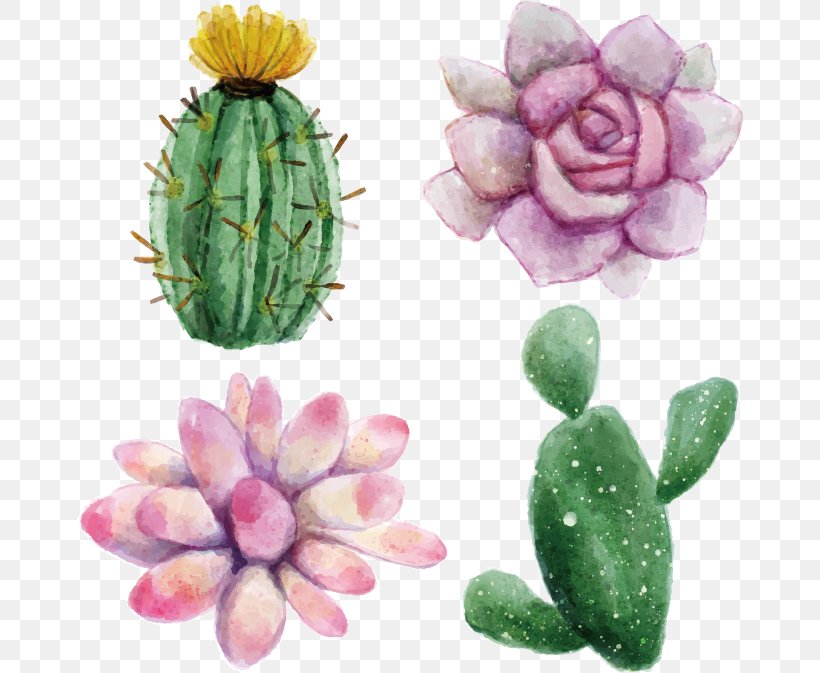 Cactaceae Watercolor Painting Succulent Plant Euclidean Vector Illustration, PNG, 666x673px, Cactaceae, Cactus, Canvas, Caryophyllales, Drawing Download Free