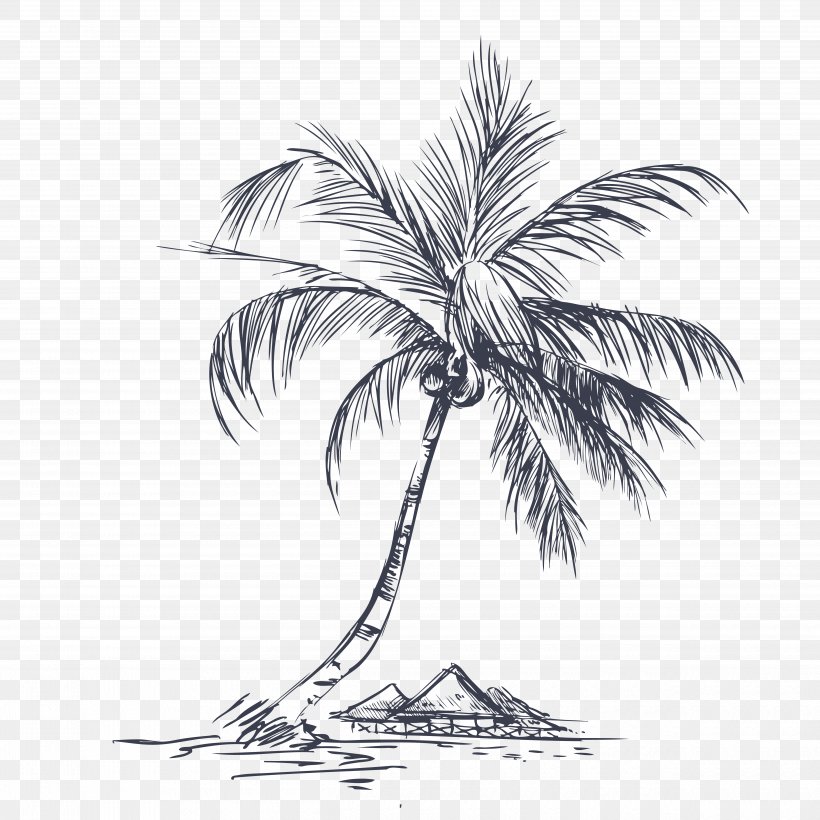 Coconut Tree, PNG, 5000x5000px, Coconut, Arecales, Black And White, Branch, Cartoon Download Free