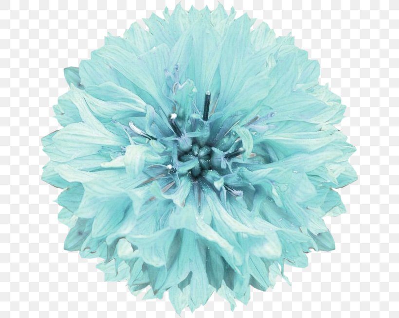 Cut Flowers Turquoise Pom-pom, PNG, 654x654px, Cut Flowers, Aqua, Blue, Flower, Pom Pom Download Free