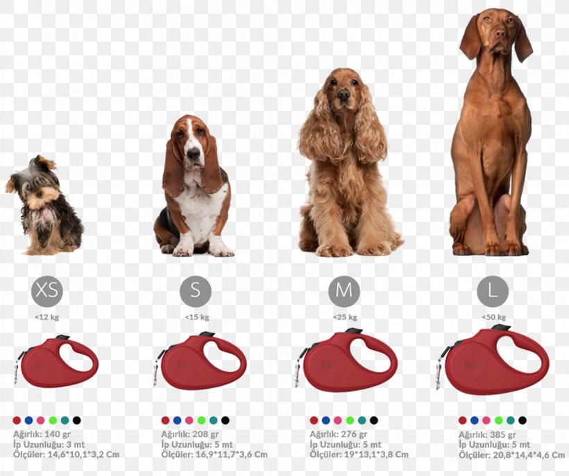 Dog Breed Irish Setter English Cocker Spaniel Puppy, PNG, 977x819px, Dog Breed, Animal, Animal Control And Welfare Service, Animal Shelter, Carnivoran Download Free