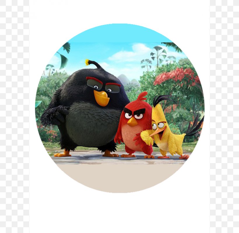 Hollywood Film Video Game Cinema Angry Birds, PNG, 800x800px, Hollywood, Angry Birds, Angry Birds Movie, Animation, Beak Download Free