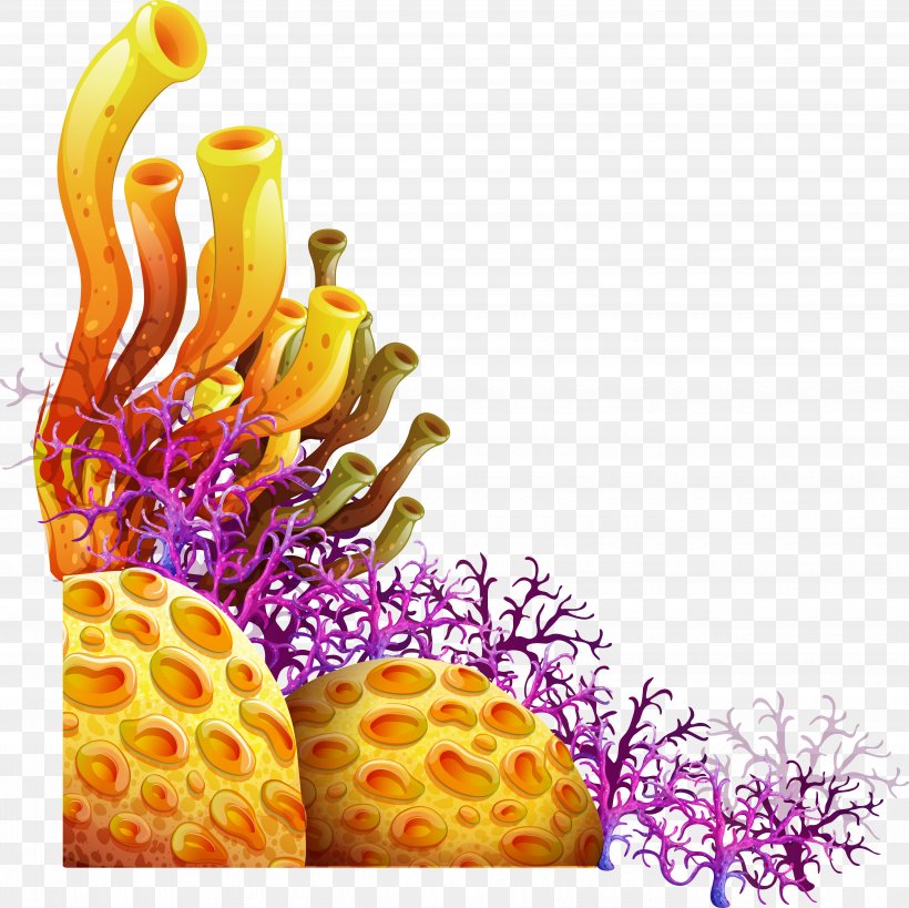 Living Corals Vector Graphics Sea Royalty-free Illustration, PNG, 5000x4994px, Sea, Coral, Coral Reef, Istock, Marine Life Download Free