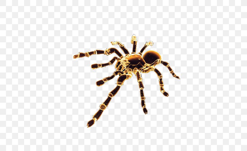 Spider Clip Art, PNG, 500x500px, Spider, Android, Android Application Package, Arachnid, Arthropod Download Free