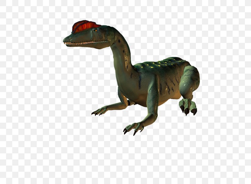 Velociraptor Tyrannosaurus PhotoScape GIMP, PNG, 800x600px, Velociraptor, Animal, Animal Figure, Dinosaur, Fauna Download Free