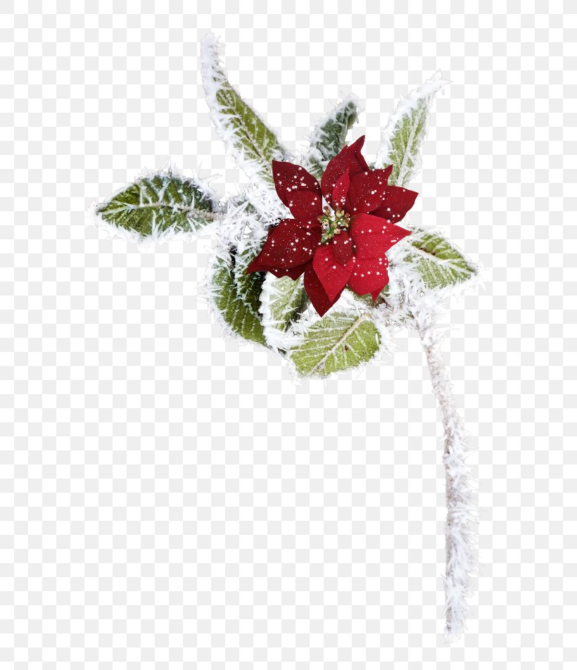 Christmas Ornament Garland Khan Bank Could It Be Different?, PNG, 650x952px, Christmas Ornament, Christmas, Christmas Decoration, Christmas Lights, Christmas Tree Download Free