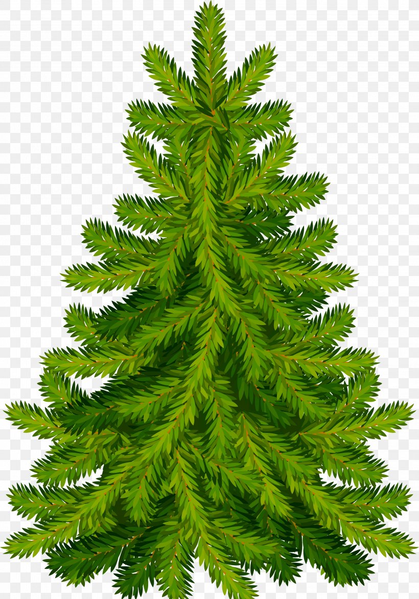 Christmas Tree Fir Christmas Day Clip Art Pine, PNG, 2946x4214px, Christmas Tree, Artificial Christmas Tree, Biome, Branch, Cedar Download Free