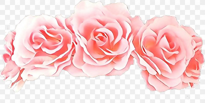 Garden Roses, PNG, 974x494px, Cartoon, Cut Flowers, Floribunda, Flower, Garden Roses Download Free