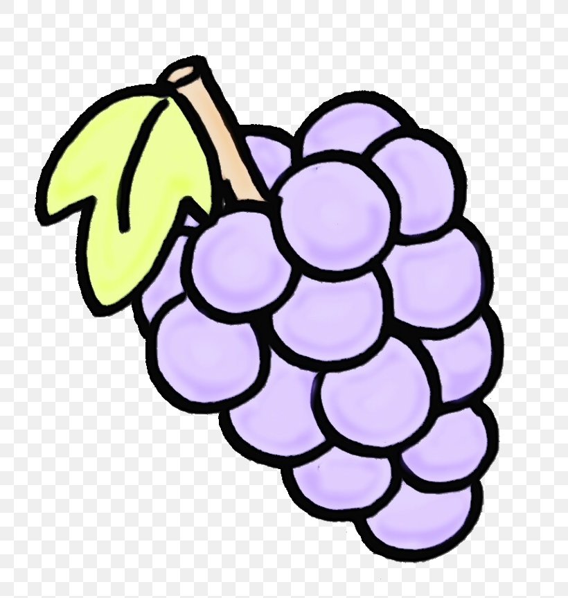 Grape Grapevine Family Fruit Clip Art Plant, PNG, 800x863px, Watercolor, Fruit, Grape, Grapevine Family, Paint Download Free