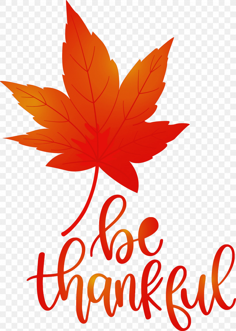 Thanksgiving Be Thankful Give Thanks, PNG, 2141x2999px, Thanksgiving, Be Thankful, Flower, Give Thanks, Leaf Download Free