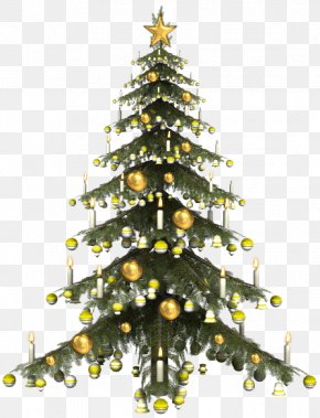 Christmas Tree Santa Claus, PNG, 1296x968px, Christmas Tree, Christmas ...