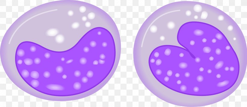 Monocyte Haematopoiesis White Blood Cell Integrin Alpha M, PNG, 1280x560px, Monocyte, Blood, Bone Marrow, Cell, Diagram Download Free