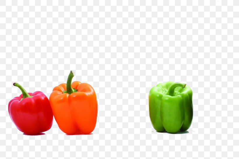 Bell Pepper Chili Pepper Vegetable Color, PNG, 2180x1453px, Bell Pepper, Allspice, Bell Peppers And Chili Peppers, Capsicum, Capsicum Annuum Download Free