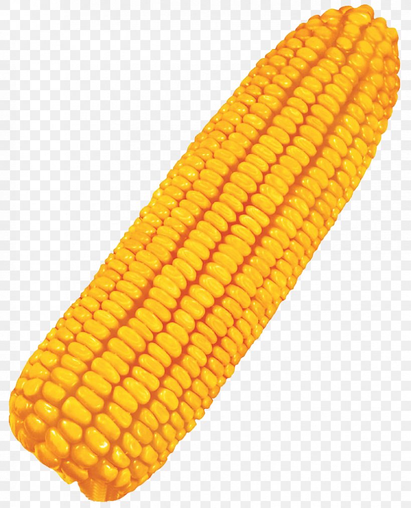 Maize Corn On The Cob Crop Food Cereal, PNG, 828x1024px, Maize, Baking, Brewing, Broomcorn, Cereal Download Free