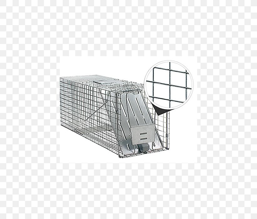 Raccoon Trapping Nuisance Wildlife Management Pest Control Cage, PNG, 698x698px, Raccoon, Animal, Booby Trap, Cage, Door Download Free