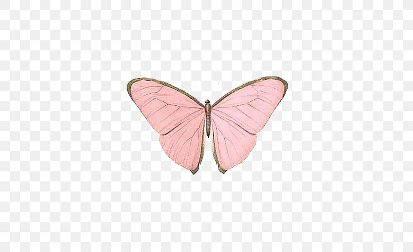 Butterfly Papillon Dog Insect Nymphalidae Pink, PNG, 500x500px, Butterfly, Blue, Brush Footed Butterfly, Color, Insect Download Free
