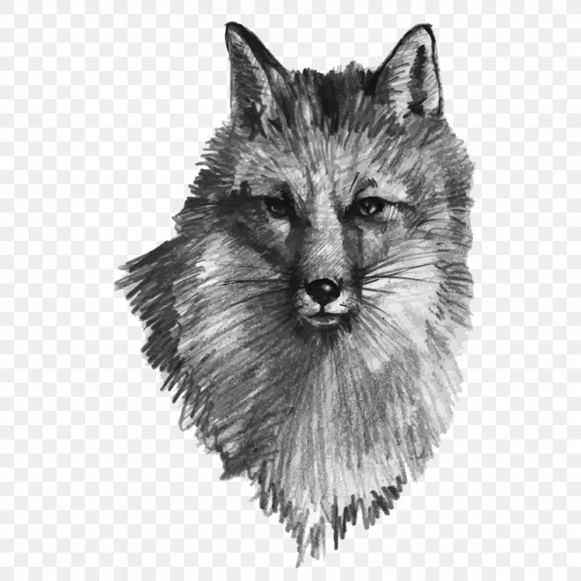 Gray Wolf Drawing Fox Illustration, PNG, 900x900px, Gray Wolf, Art, Black And White, Carnivoran, Cat Download Free