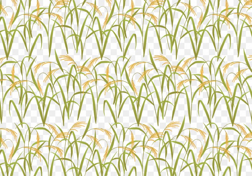Leaf Grasses Yellow Plant Stem Pattern, PNG, 1550x1086px, Leaf, Area, Branch, Family, Flora Download Free