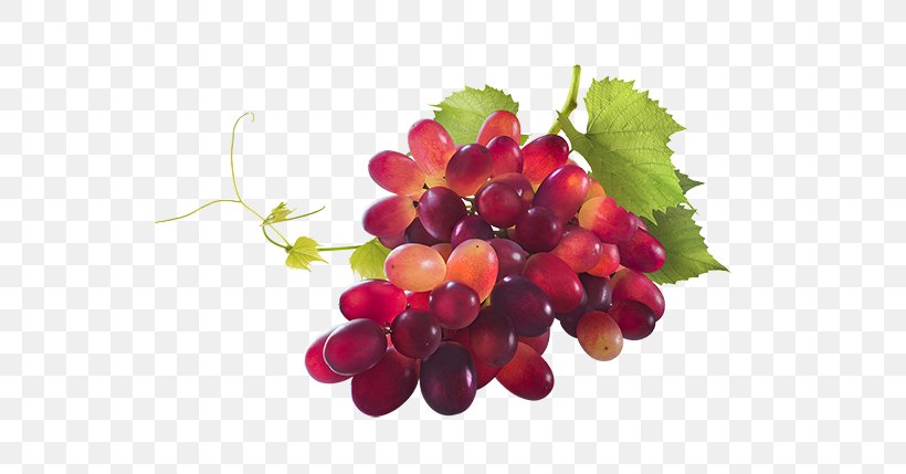 Sultana Zante Currant Grape Chardonnay Pinot Noir, PNG, 600x429px, Sultana, Berry, Chardonnay, Cranberry, Currant Download Free
