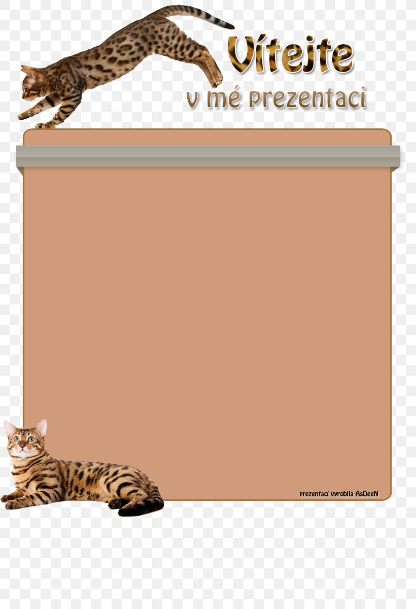 Cat Tiger Diet Food Rice, PNG, 820x1200px, Cat, Big Cat, Big Cats, Carnivoran, Cartoon Download Free