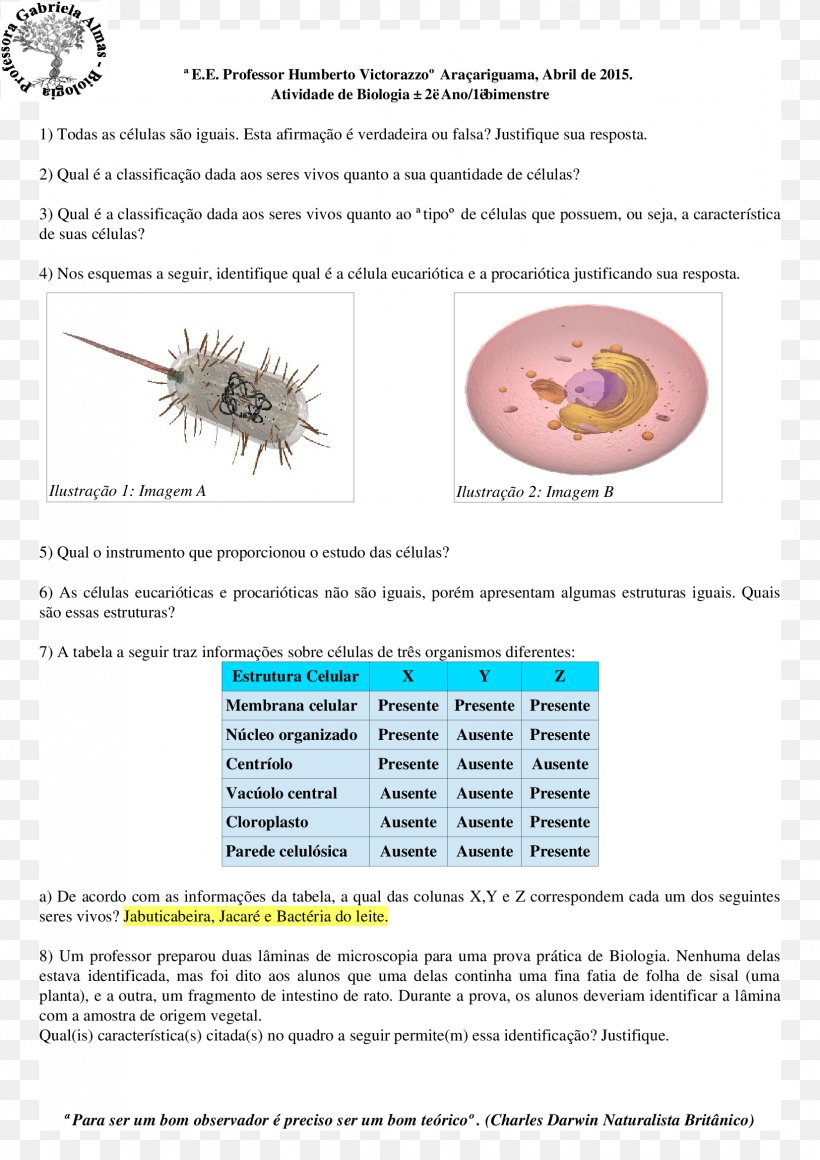 City University Of Seattle Document Organism Line, PNG, 1653x2339px, City University Of Seattle, Area, Diagram, Document, Organism Download Free
