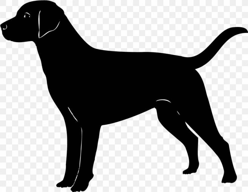 Labrador Retriever Golden Retriever Puppy Clip Art, PNG, 1000x779px, Labrador Retriever, Black, Black And White, Breed, Bulldog Download Free