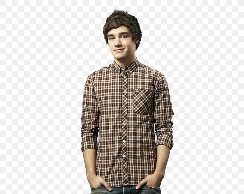 Liam Payne The X Factor One Direction Four They Don't Know About Us, PNG, 500x652px, Watercolor, Cartoon, Flower, Frame, Heart Download Free