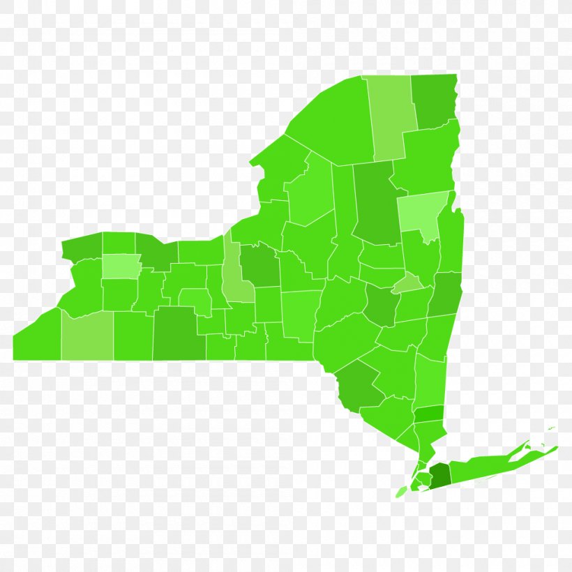 New York City All Dry USA Royalty-free U.S. State, PNG, 1000x1000px, New York City, Area, Grass, Green, New York Download Free