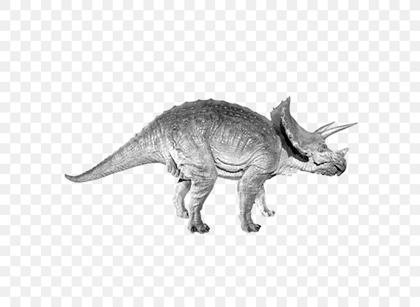 Triceratops Tyrannosaurus Dinosaur, PNG, 600x600px, Triceratops, Animal, Black And White, Crocodiles, Dinosaur Download Free