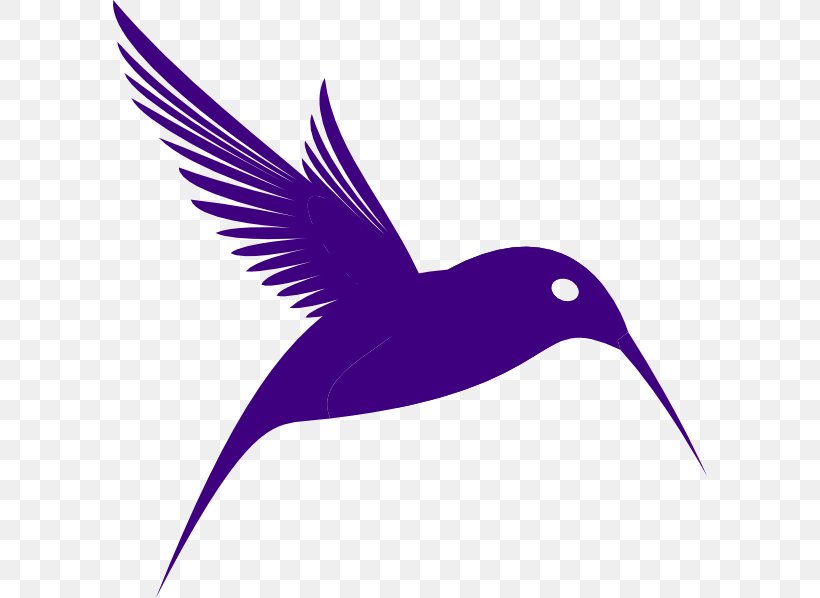 Bird Purple Clip Art, PNG, 594x598px, Bird, Beak, Cartoon, Drawing, Feather Download Free