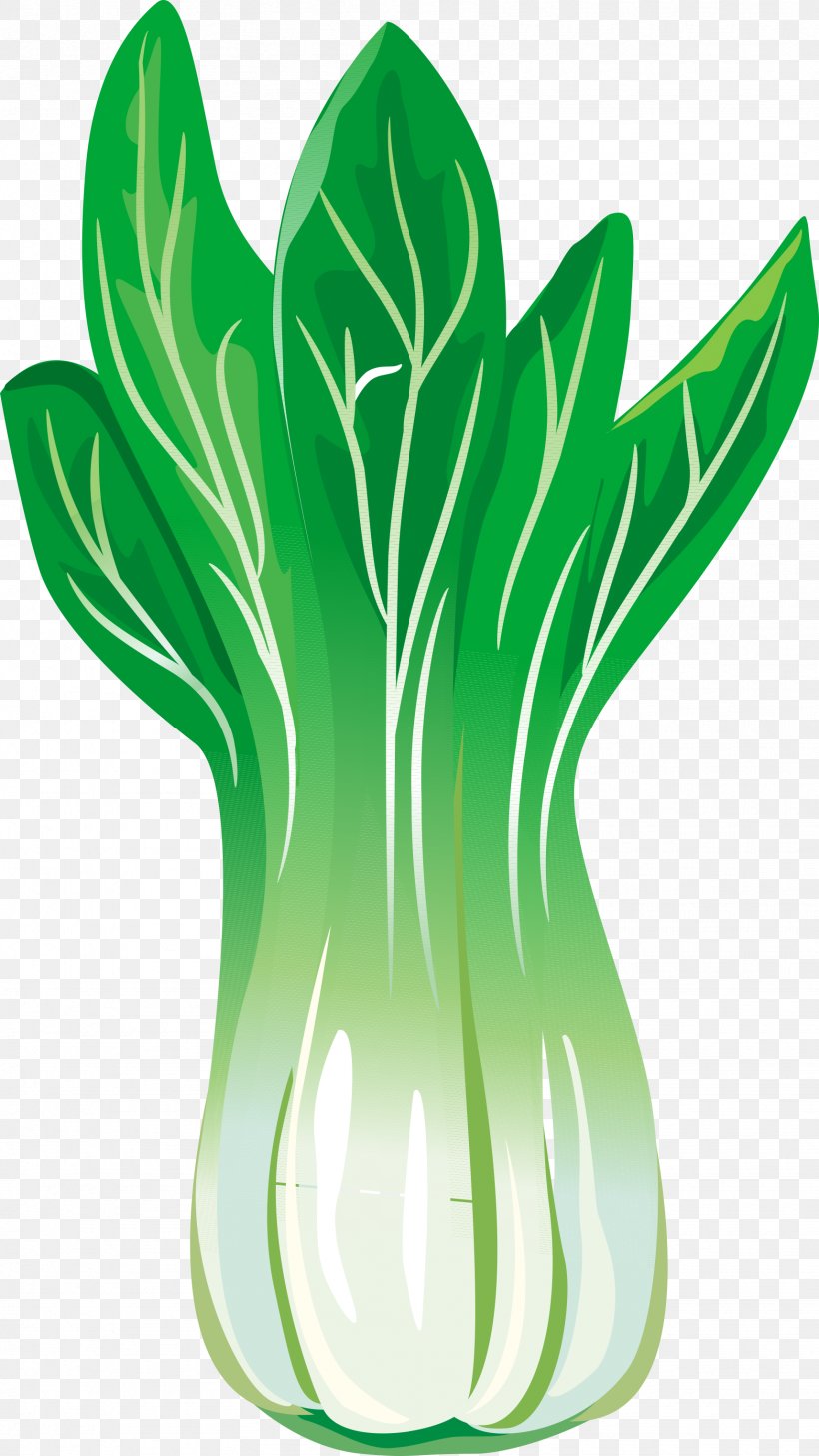 Chinese Cabbage Leaf Vegetable, PNG, 1715x3048px, Cabbage, Canola, Celery, Chinese Cabbage, Flower Download Free