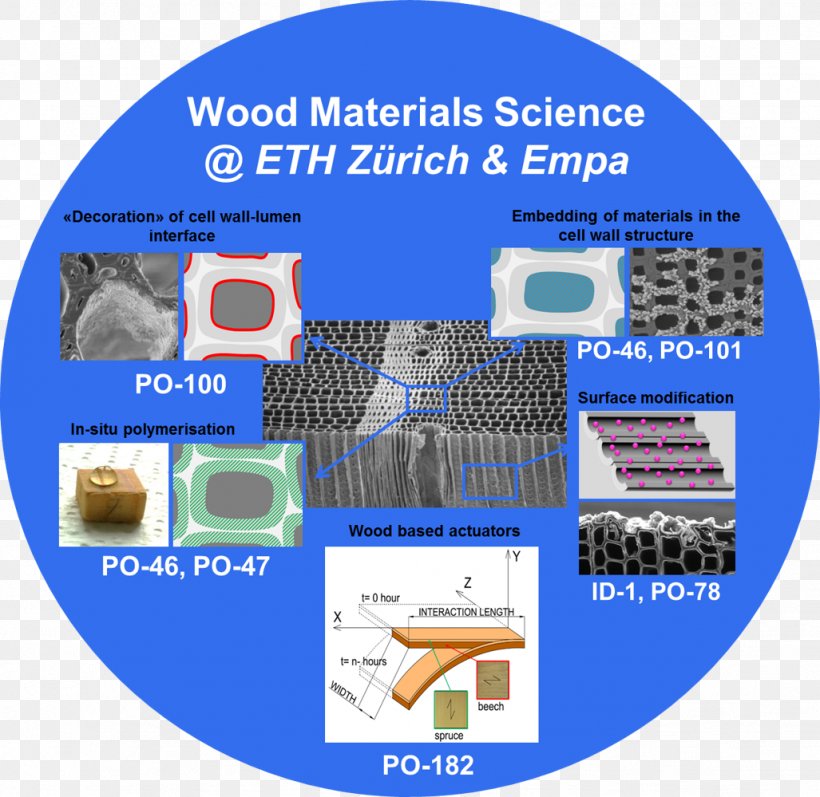 eth zurich materials science phd