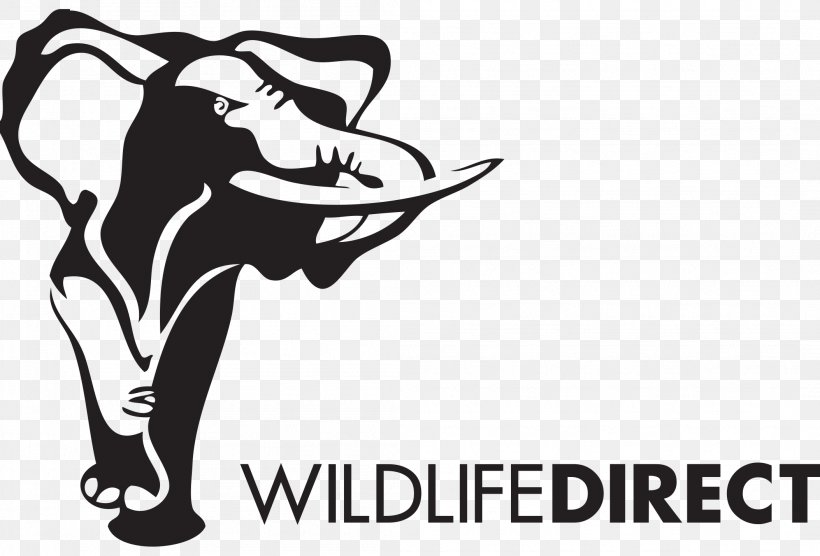 Lewa Wildlife Conservancy WildlifeDirect Wildlife Conservation Organization, PNG, 2107x1429px, Lewa Wildlife Conservancy, African Elephant, African Wildlife Foundation, Artwork, Black And White Download Free