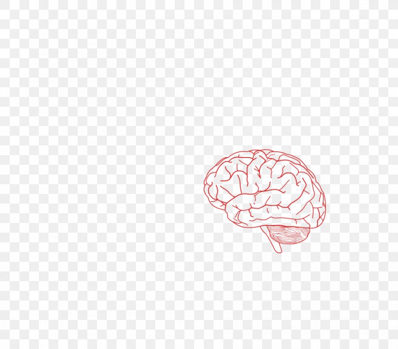 Brain Organism Mug Font, PNG, 900x791px, Watercolor, Cartoon, Flower, Frame, Heart Download Free