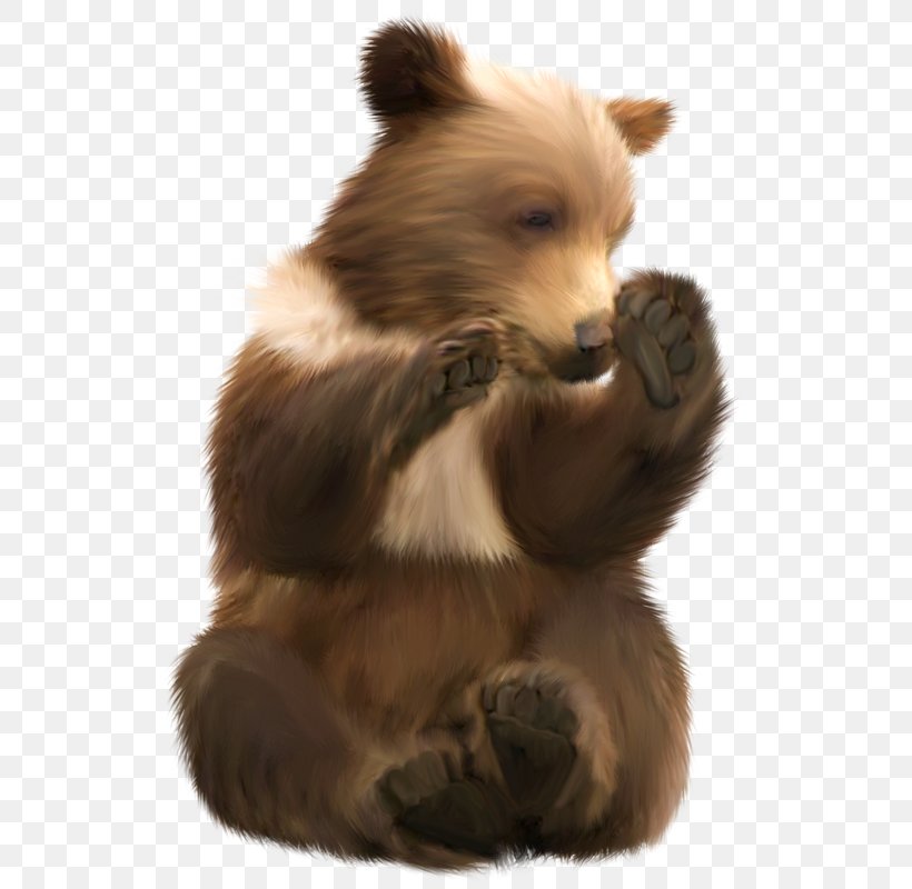 Brown Bear Polar Bear Grizzly Bear Giant Panda, PNG, 541x800px, Bear, Alaska, Animal, Beaver, Brown Bear Download Free