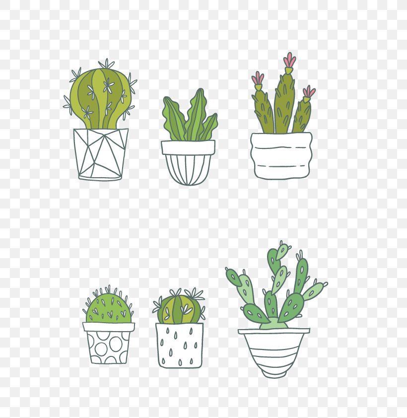 Cactaceae Succulent Plant Clip Art, PNG, 800x842px, Cactaceae, Cactus, Cdr, Drinkware, Floral Design Download Free