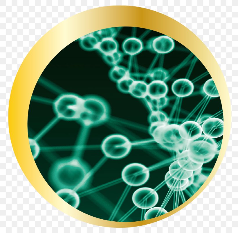 Nanocell Wrinkle Skin Epidermis, PNG, 820x800px, Wrinkle, Aqua, Cell, Collagen, Description Download Free