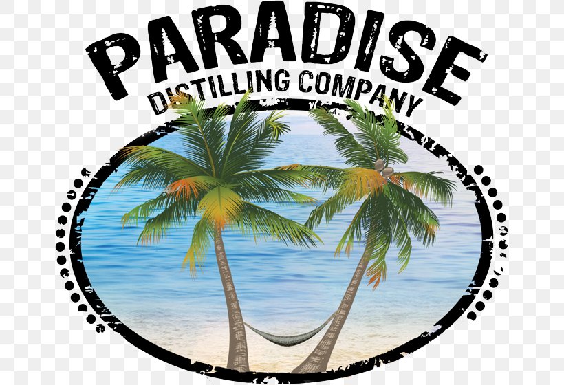Paradise Distilling Company Zeke's Island Cafe Berger Joseph MD Coconut YouTube, PNG, 659x560px, Coconut, Arecales, Davenport, Douchegordijn, Dubuque Download Free