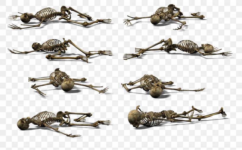 Skeleton Skull Clip Art, PNG, 2651x1643px, Skeleton, Animation, Day Of The Dead, Ear, Endoskeleton Download Free