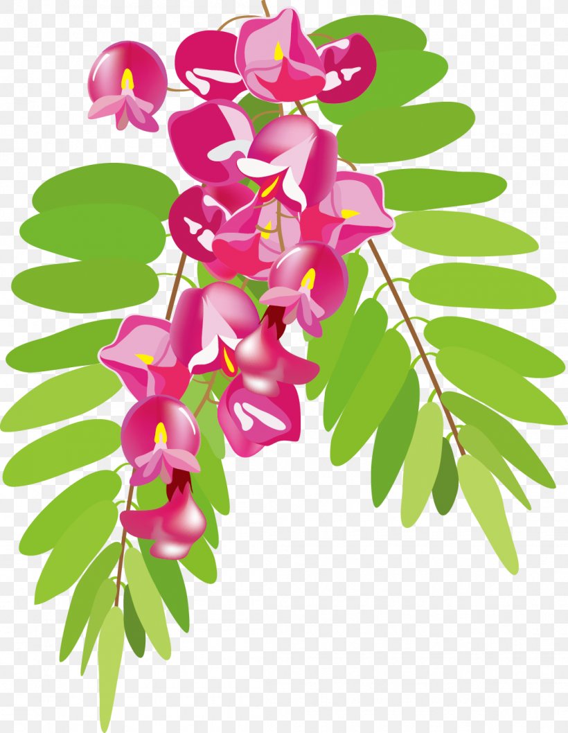 Vector Flowers, PNG, 1105x1427px, Mimosa Pudica, Acacia, Acacia Dealbata, Albizia Julibrissin, Branch Download Free