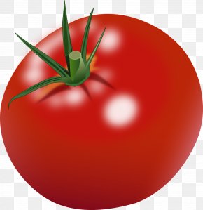 Tomatoes - Cherry Tomato Clip Art PNG