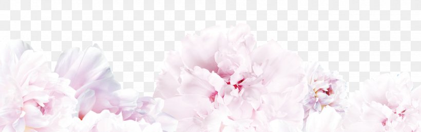 Floral Design Spring Cherry Blossom Cut Flowers, PNG, 1900x600px, Flower, Beauty, Blossom, Cherry Blossom, Cut Flowers Download Free