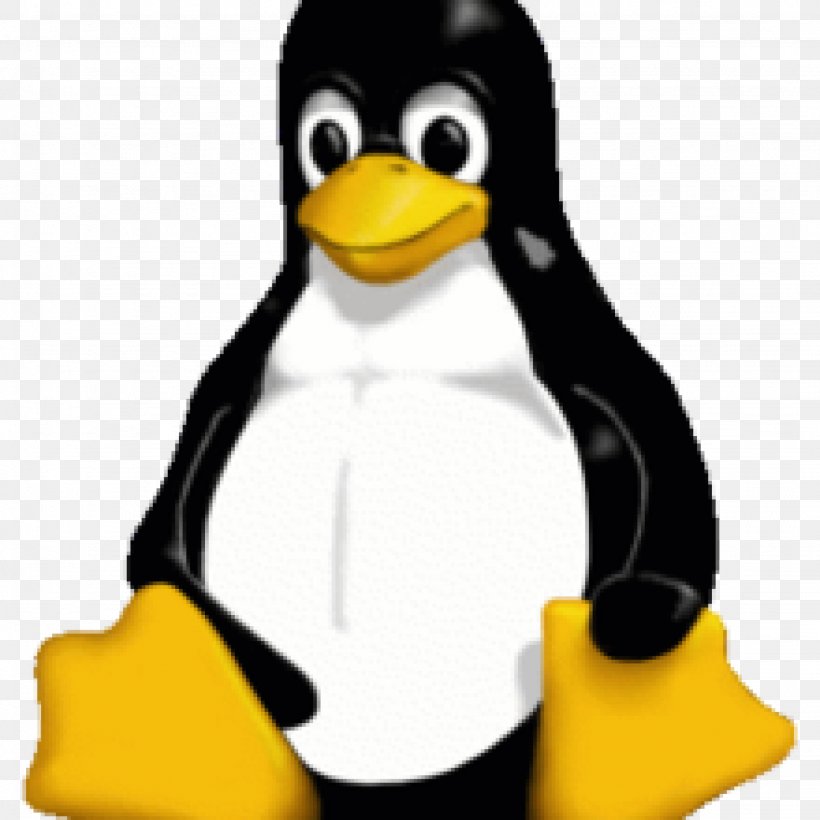 Pingus Tux Linux Distribution Installation, PNG, 2048x2048px, Tux, Beak, Bird, Computer Software, Debian Gnulinux Download Free