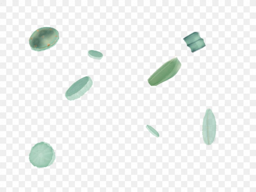 Plastic Body Jewellery Turquoise, PNG, 1024x768px, Plastic, Body Jewellery, Body Jewelry, Copepod, Green Download Free