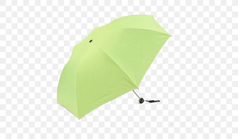 Umbrella, PNG, 560x480px, Umbrella, Green Download Free