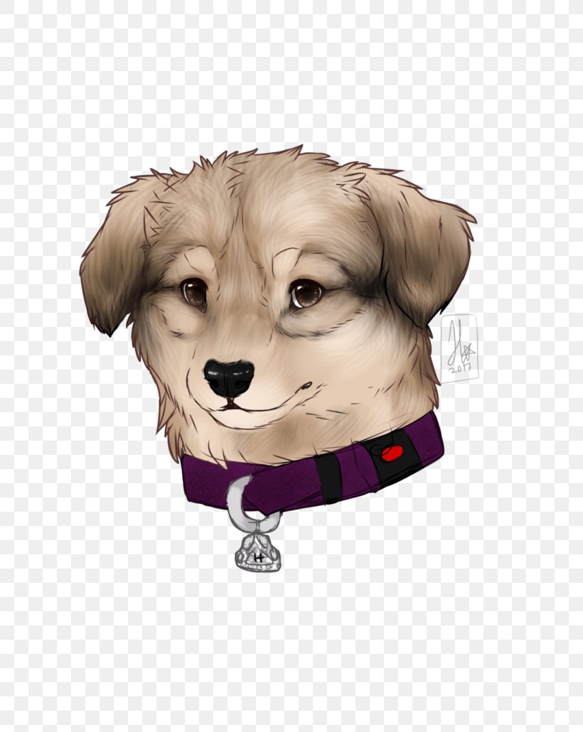 Dog Breed Puppy Sporting Group Companion Dog, PNG, 775x1030px, Dog Breed, Breed, Carnivoran, Clothing, Companion Dog Download Free