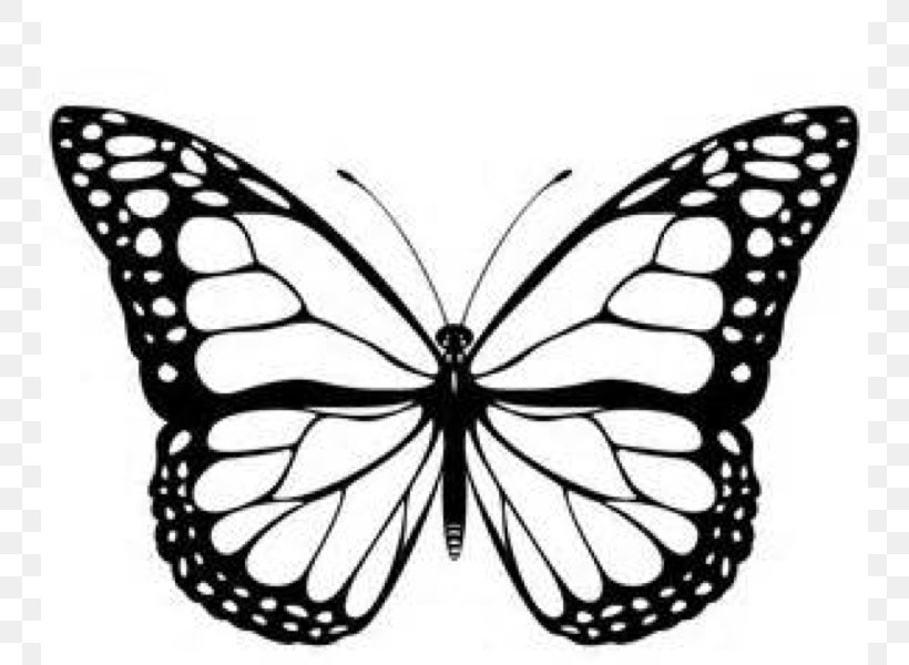 Monarch Butterfly Black And White Clip Art, PNG, 746x600px, Butterfly, Art,  Arthropod, Black And White, Brush